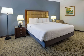 Room, 1 King Bed, Non Smoking