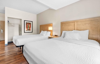 Deluxe Studio, Multiple Beds, Non Smoking