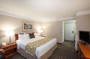 Room, 1 King Bed, Accessible, Non Smoking