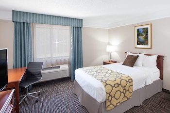 Room, 1 Double Bed, Accessible, Non Smoking