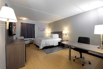 Superior Room, 1 King Bed, Accessible (Roll-In Shower, Smoke Free)