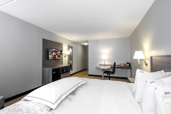 Premium Room, 1 King Bed (Upgraded Bedding & Snack, Smoke Free)