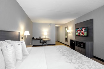 Superior Room, 1 King Bed, Accessible (Roll-In Shower, Smoke Free)
