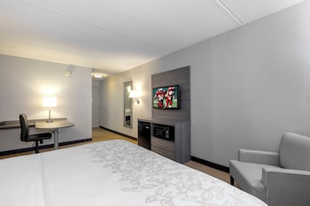 Superior Room, 1 King Bed, Accessible (Roll-In Shower, Smoke Free)