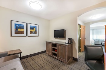 Suite, 1 King Bed, Non Smoking, Refrigerator & Microwave (with Sofabed)
