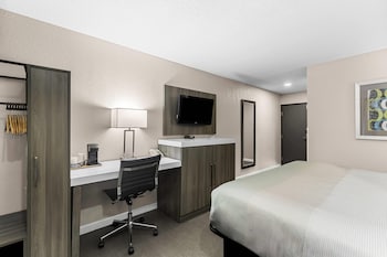 Standard Room, 1 King Bed, Non Smoking