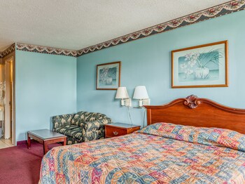 Room, 1 King Bed