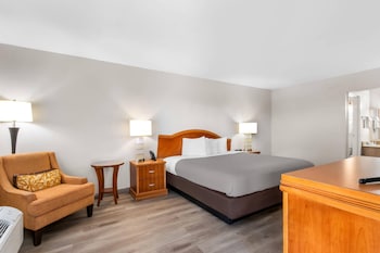 Room, 1 King Bed, Non Smoking