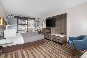 Suite, 1 King Bed with Sofa bed, Non Smoking