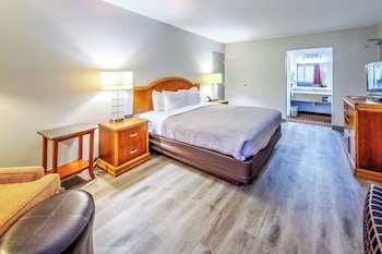 Room, 1 King Bed, Non Smoking