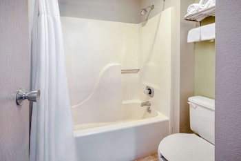 Standard Single Room, 2 Queen Beds