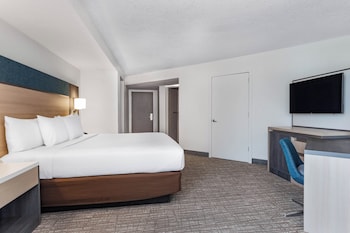 Standard Room, 1 King Bed, Roll-in Shower (Mobility Accessible)