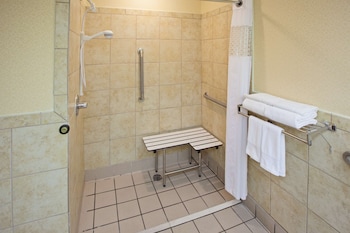 Room, 1 King Bed, Accessible, Non Smoking (Roll-in Shower)