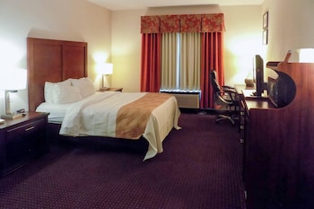 Standard Room, 1 Queen Bed, Non Smoking