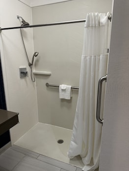 Room, 1 King Bed (Mobility/Hearing Access, Roll-In Shwr)