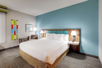 Room, 1 King Bed, Accessible, Non Smoking