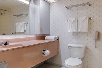 Deluxe Suite, 1 King Bed with Sofa bed