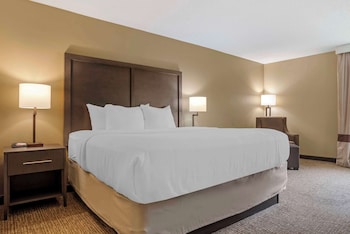 Standard Room, 1 King Bed, Non Smoking