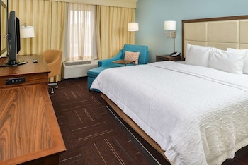 Room, 1 King Bed, Non Smoking