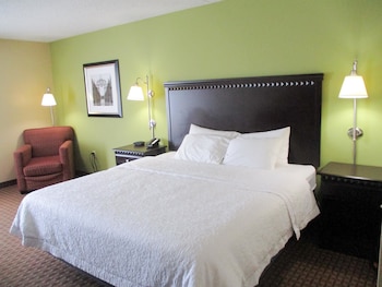 Room, 1 King Bed, Non Smoking (Pet-friendly)