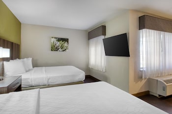 Standard Room, 2 Queen Beds, Non Smoking, Refrigerator & Microwave (with Sofabed)