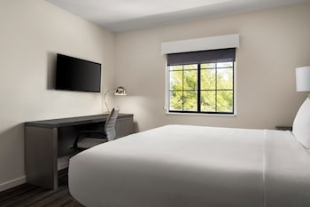 Room, 1 King Bed