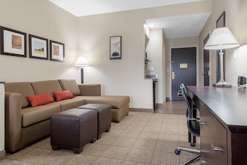 Room, 1 King Bed with Sofa bed, Accessible, Non Smoking