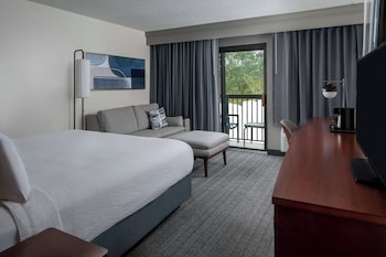 Room, 1 King Bed with Sofa bed (Mobility/Hearing Access, Roll-in Shwr)