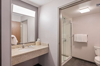 Room, 1 King Bed with Sofa bed, Accessible