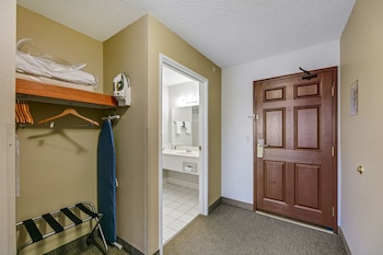 Room, 1 King Bed with Sofa bed