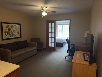 1 King Suite with Sofa bed
