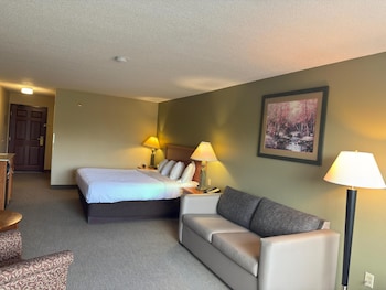 Room, 1 King Bed with Sofa bed