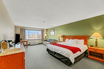 Room, 1 King Bed with Sofa bed