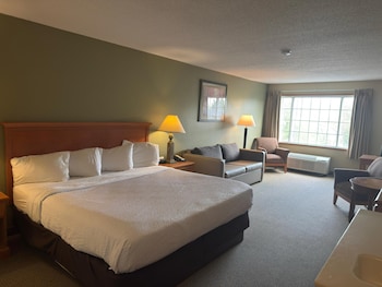 Room, 1 King Bed with Sofa bed