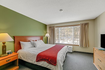 Room, 1 King Bed
