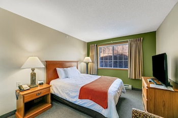 Room, 1 King Bed