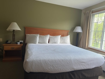 1 King Suite with Sofa bed
