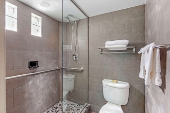 Standard Room, 1 King Bed, Non Smoking, Jetted Tub
