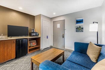 Suite, 1 King Bed with Sofa bed, Non Smoking