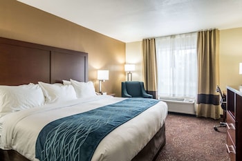 Room, 1 King Bed, Non Smoking