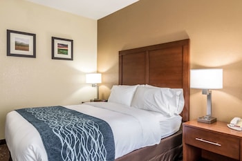 Room, 1 Queen Bed, Accessible, Non Smoking