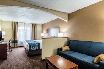 Efficiency, Suite, 1 King Bed with Sofa bed, Non Smoking