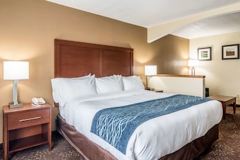 Suite, 1 King Bed with Sofa bed, Non Smoking