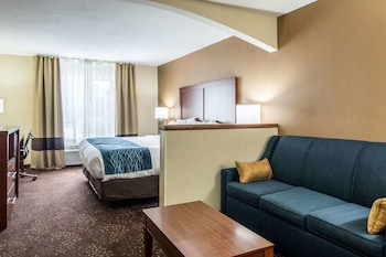 Efficiency, Suite, 1 King Bed with Sofa bed, Non Smoking