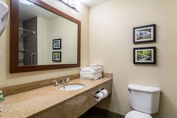 Suite, 1 King Bed with Sofa bed, Non Smoking
