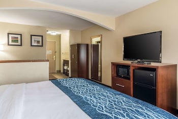 Suite, 1 King Bed with Sofa bed, Non Smoking
