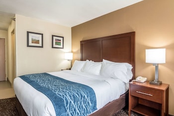 Room, 1 King Bed, Non Smoking