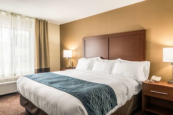 Suite, 1 King Bed with Sofa bed, Non Smoking