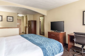 Suite, 1 King Bed with Sofa bed, Non Smoking
