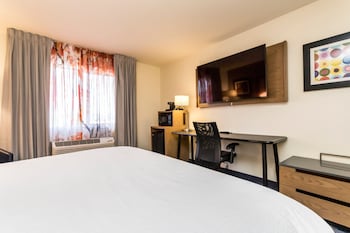 Room, 1 King Bed